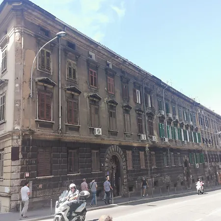 Little Flower In Center Pensjonat