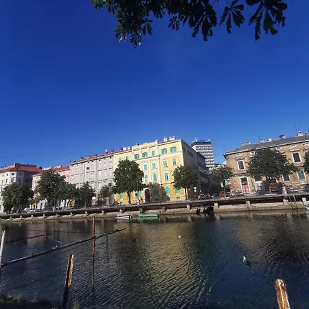 Little Flower In Center Pensjonat