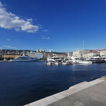 Pensjonat Little Flower In Center 4*