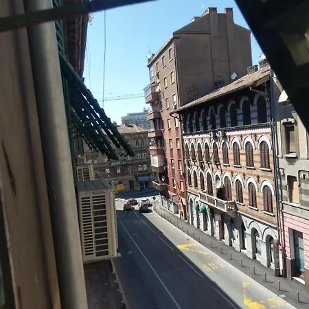 Little Flower In Center Pensjonat