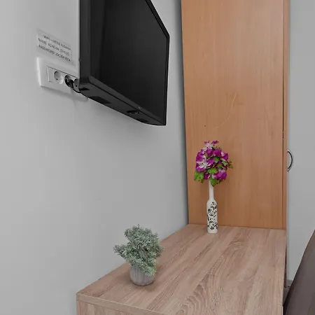 Little Flower In Center Rijeka